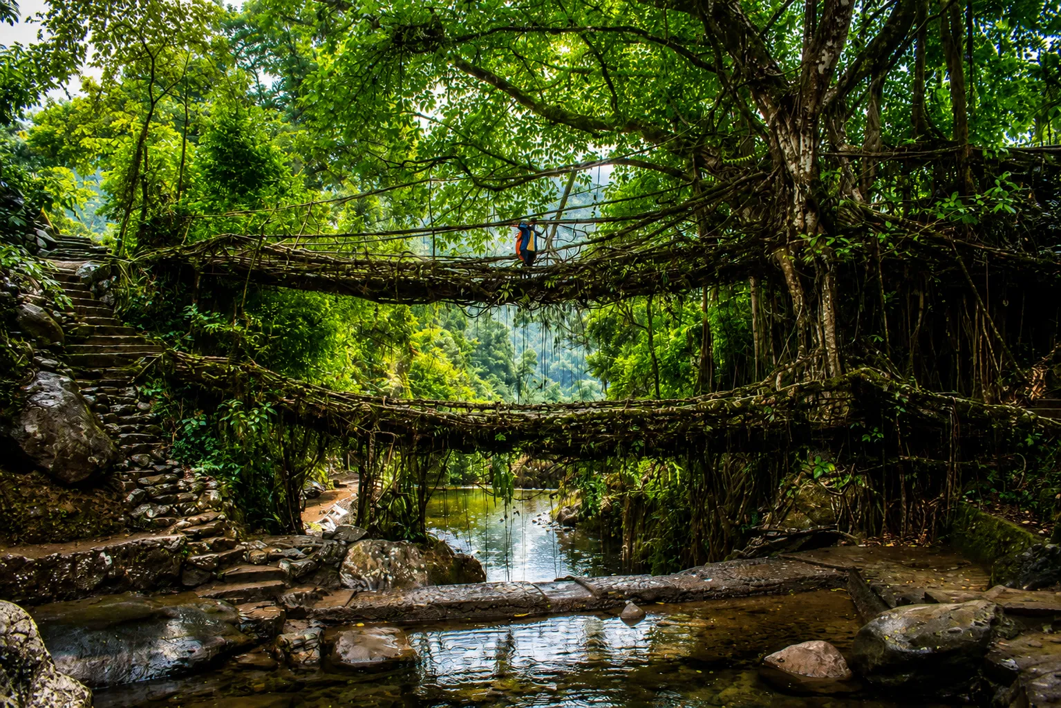 Nongriat, Meghalaya