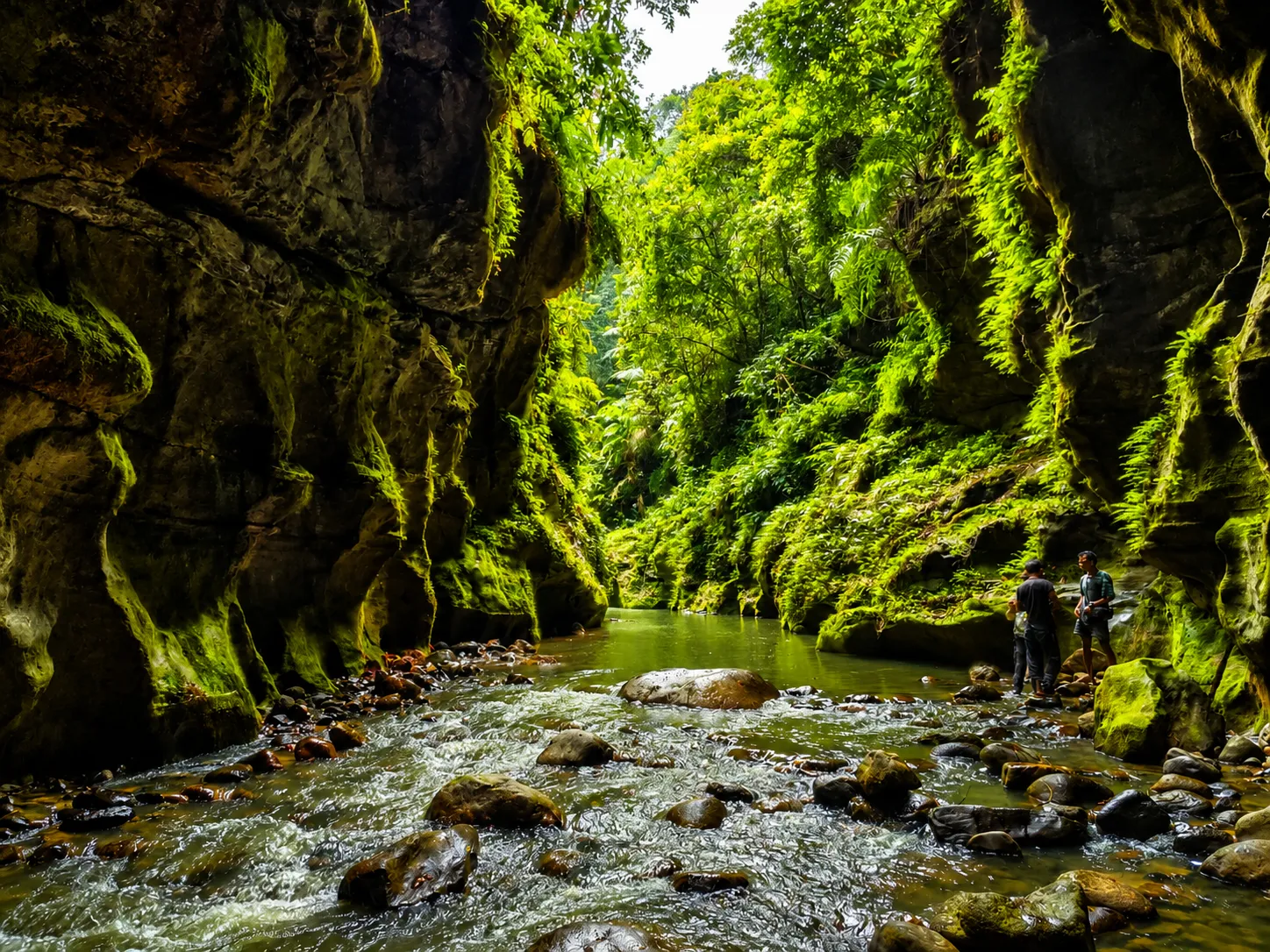 Wari Chora, Meghalaya