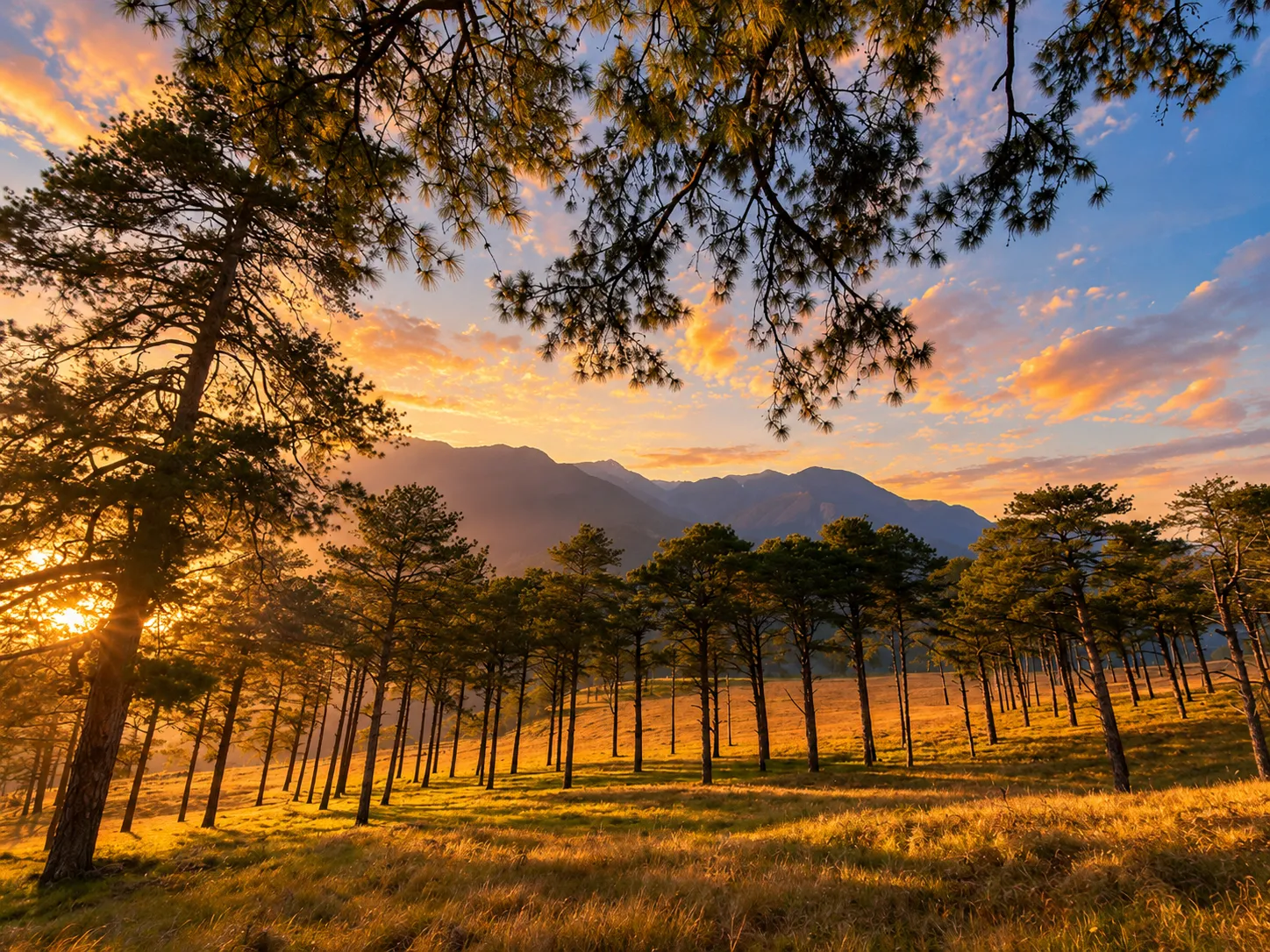 Dong Valley, Arunachal Pradesh
